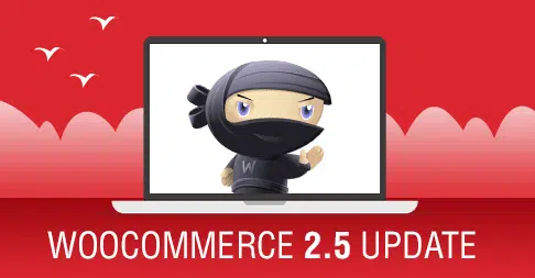 WooCommerce Update 2 5 Dashing Dolphin